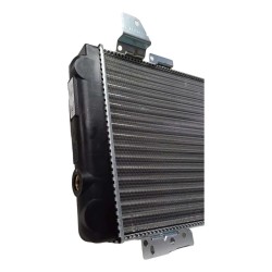 Radiador Ford Escort 88 / 95 C/bulbo 1.6 1.8