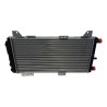 Radiador Ford Escort 88 / 95 C/bulbo 1.6 1.8