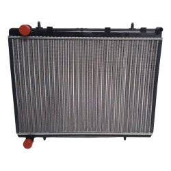 Peugeot 307 308 408 / Citroen C4 2.0 Nafta 143cv