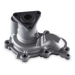 Bomba De Agua Para Ford Ecosport Ka Motor Dragon 1.5 3 Cil