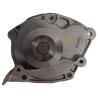 Bomba De Agua Renault Captur / Duster 2.0 16v / Volvo / Mitsubishi / Nissan